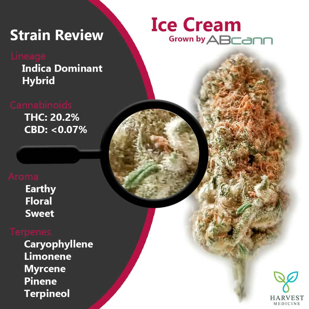Strain Review ICMed by ABCann Harvest Medicine