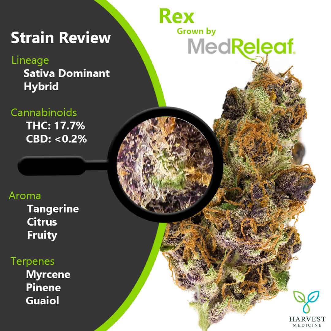 Strain Review Rex by MedReleaf Harvest Medicine