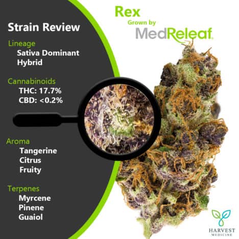 Strain Review - Rex by MedReleaf - Harvest Medicine
