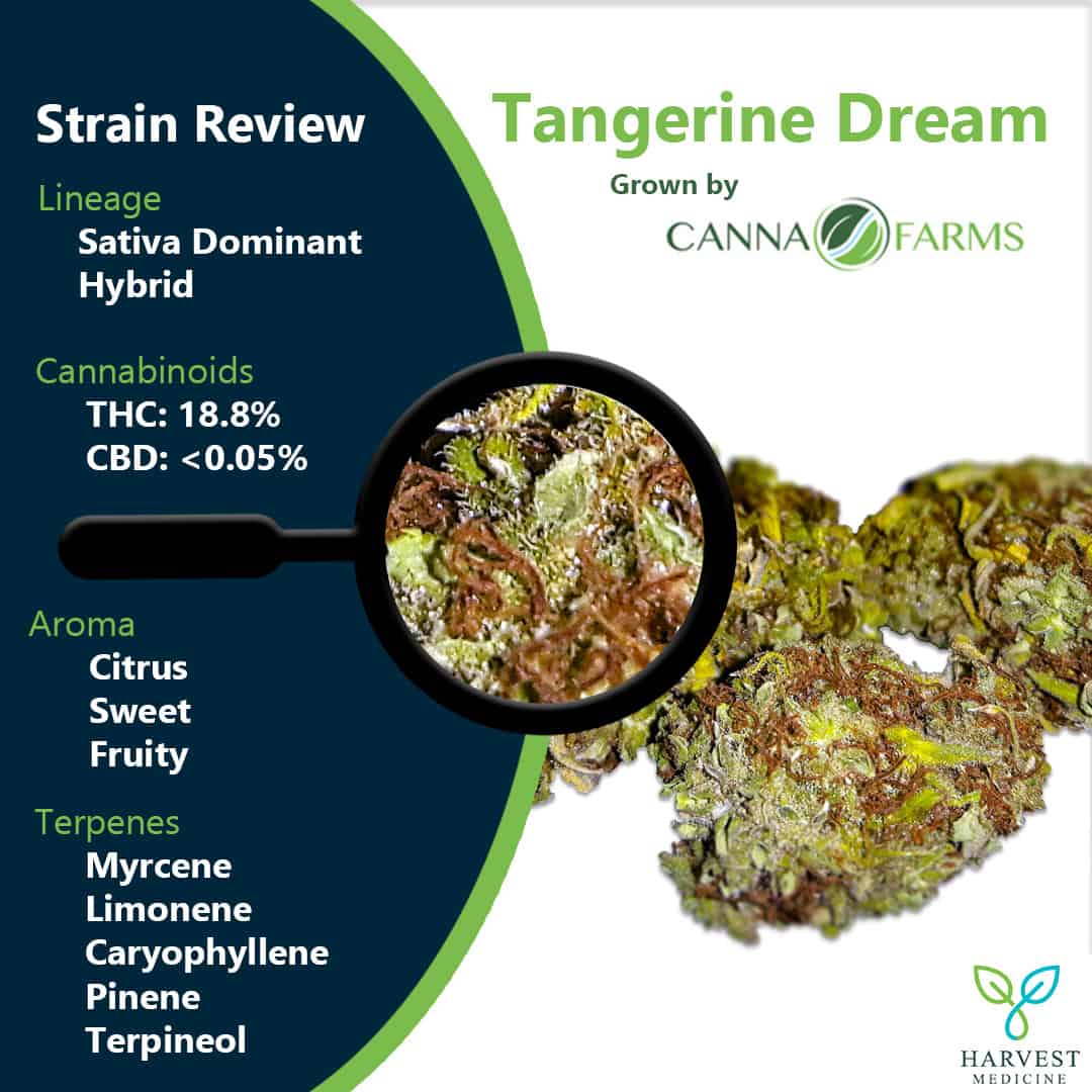 Tangerine Dream by Canna Farms - Harvest Medicine