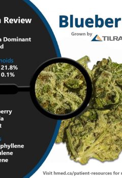 Blueberry by Tilray