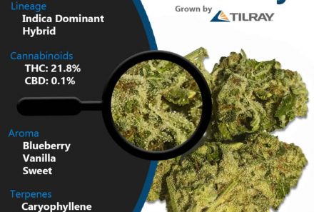 Blueberry by Tilray