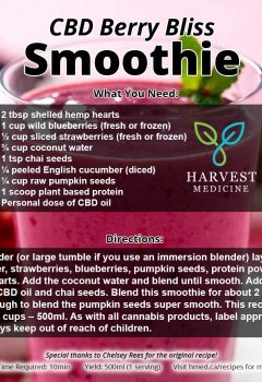 CBD Berry Bliss Smoothie