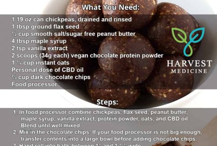 Chocolate CBD Turbo Bites