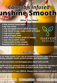 Funshine Smoothie