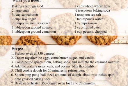 Oatmeal Canna Cookies