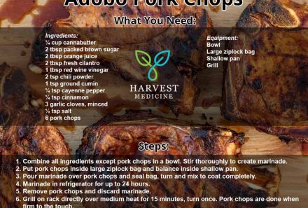 Cannabis Marinade Adobe Pork Chops