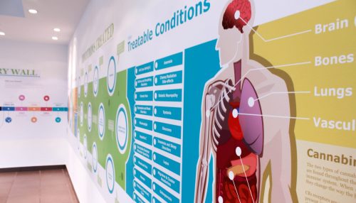 Treatable condition wall decals at Harvest Medicine