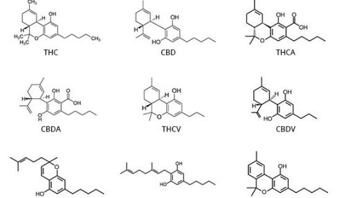 Cannabinoid Molecules