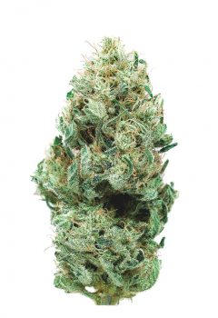 Medical Cannabis Flower Products